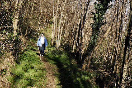 Monte di Lozzo Atestino, Parco Naturale Regionale dei Colli Euganei