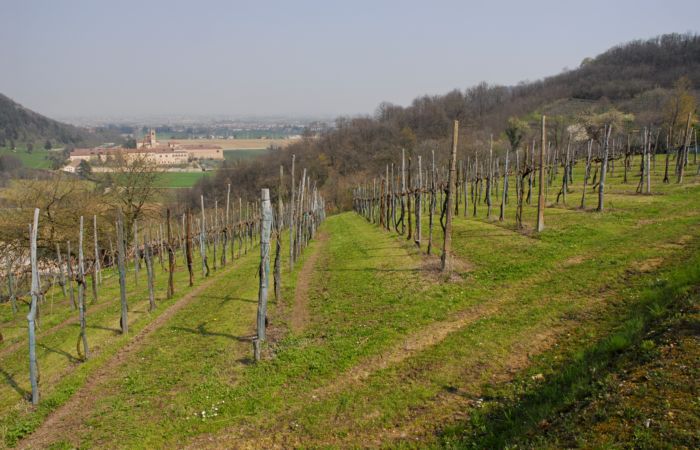 Abbazia Benedettina di Praglia a Teolo nei Colli Euganei, Padova