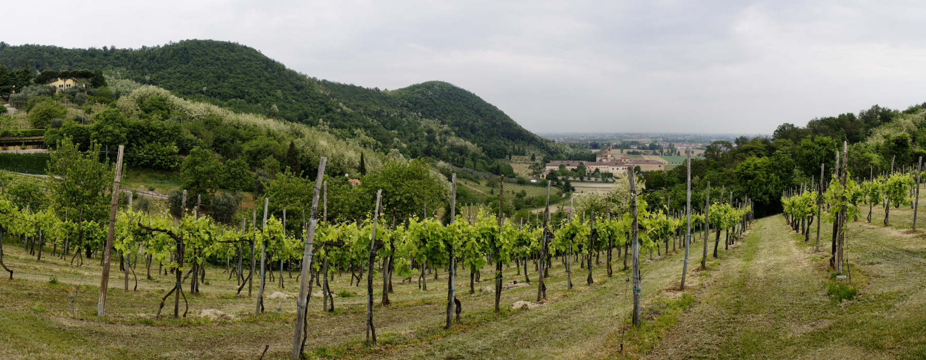 Abbazia di Praglia