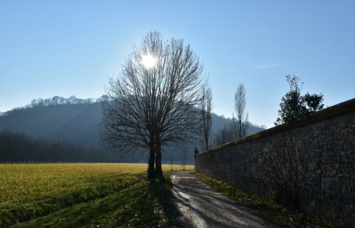 Colli Euganei - escursione lungo il Sentiero del Giubileo, dalla Abbazia di Praglia al monte Lonzina Boscalbo e chiesa di Tramonte