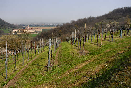 Praglia: sentiero del Giubileo - Colli Euganei