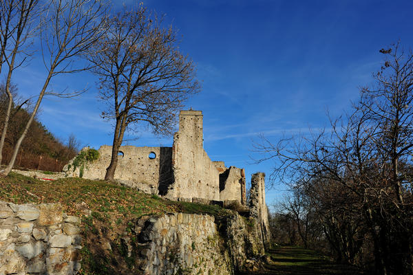 ruderi ex monastero Olivetani sul Monte Venda nei Colli Euganei