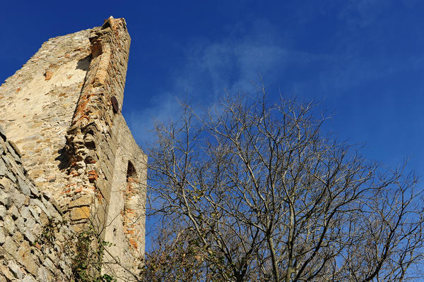 ruderi ex monastero Olivetani sul Monte Venda nei Colli Euganei