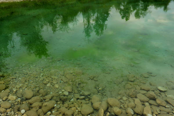 riserva naturale Vincheto di Celarda a Feltre, lungo il fiume Piave