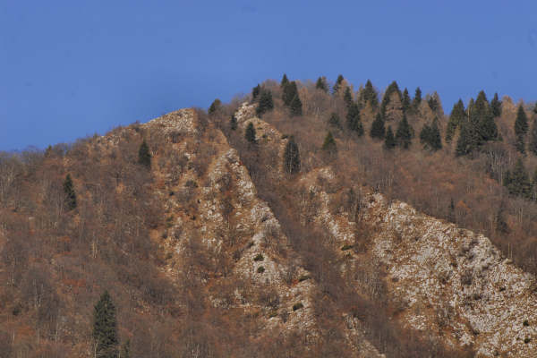 chiesetta di Sant'Agapito, Cesiomaggiore