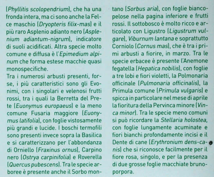 Sentiero Natura San Vittore - Feltre