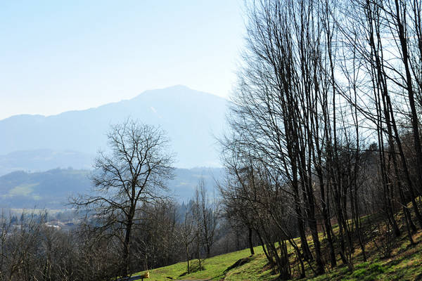 Montagne vs la Val Belluna