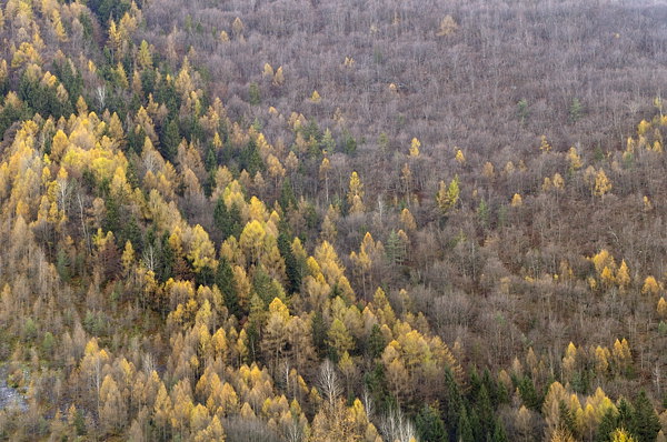 autunno a Erto e nella valle del Vajont