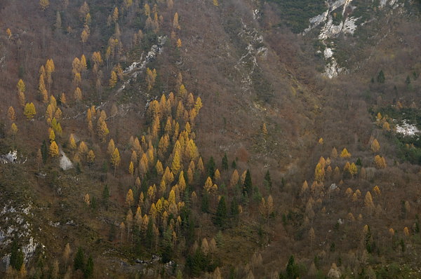 autunno a Erto e nella valle del Vajont