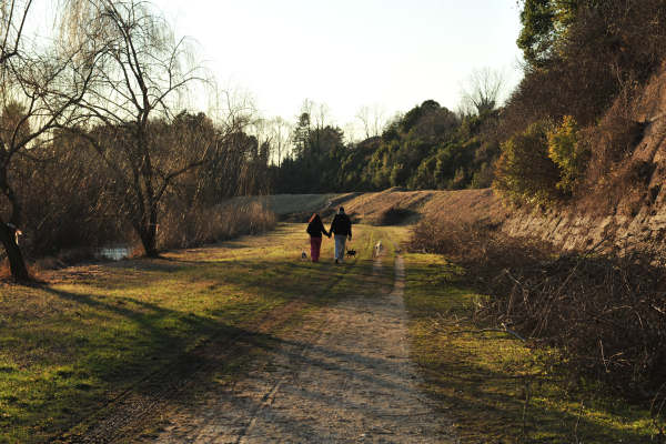 fortezza di Palmanova