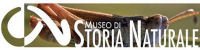 Museo Storia Naturale di Pordenone