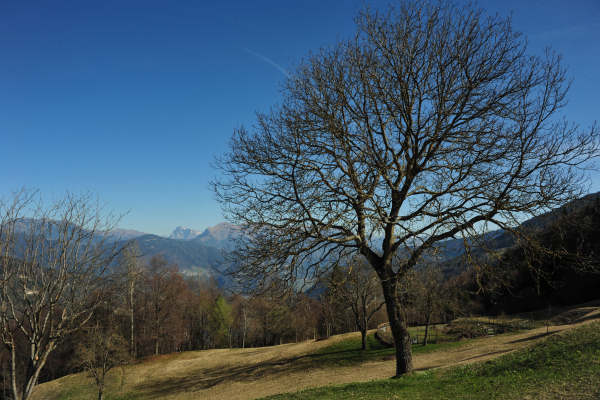 Cismon del Grappa, Val Goccia Cesilla, Col dei Prai