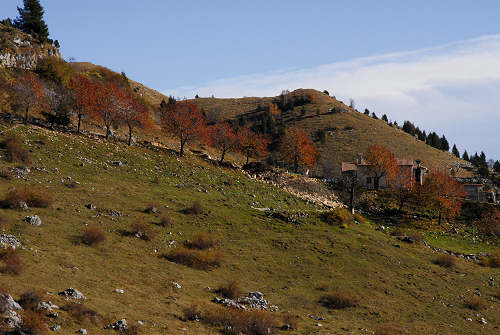 Valle delle Foglie, Colli Vecchi, Cima Grappa