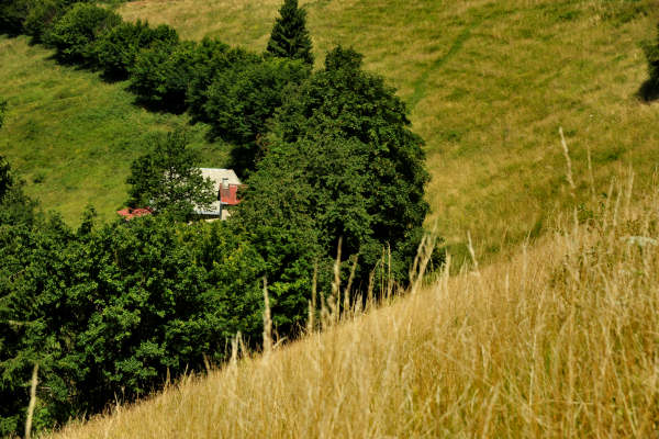 Col dei Prai a Cismon del Grappa