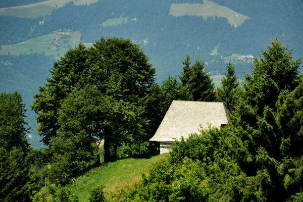 Col dei Prai a Cismon del Grappa