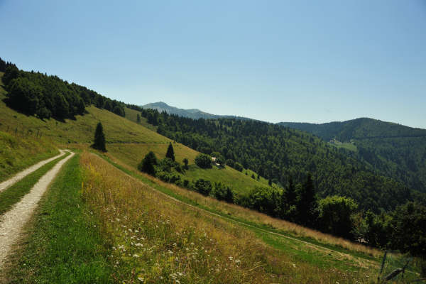 Col dei Prai a Cismon del Grappa