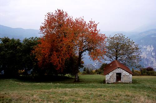 Prassolan Col Dei Prai Cismon Val Cesilla