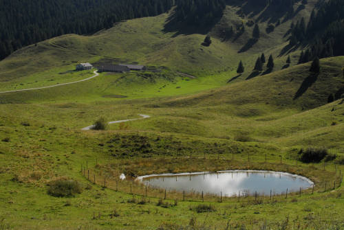 dorsale Pertica Forcelletto Prassolan Cima Val Tosela Fredina