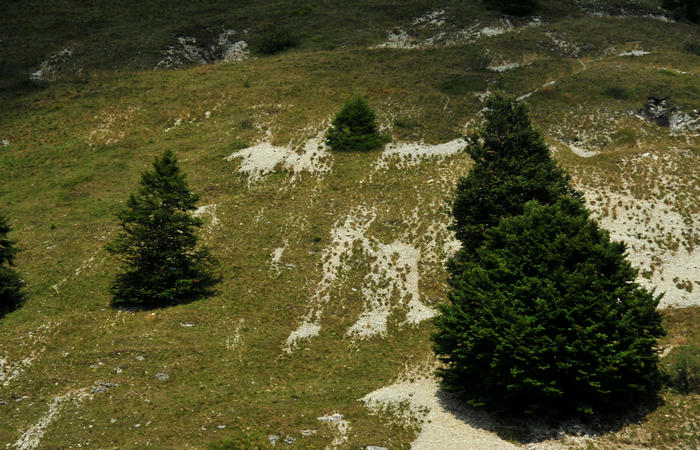 escursione dorsale CimaGrappa-Solaroli / Croce dei Lebi Col dell'Orso Salarolo Valderoa Fontanasecca Val delle Mure Cason del Sole Pian di Bala Val Vecia