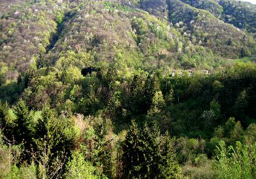 Alano di Piave (Belluno) - Monte Grappa