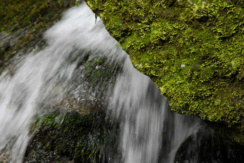 Schievenin, Quero - valle di Alano, monte Grappa