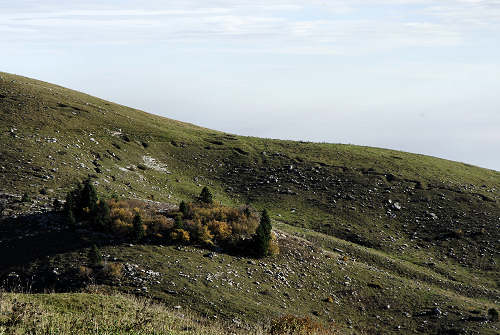 Cima Grappa monte Grappa