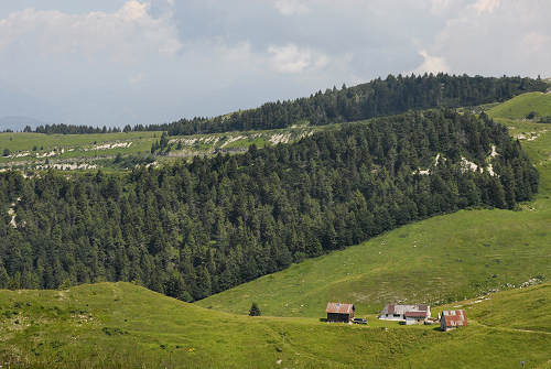 Cima Grappa - Monte Grappa