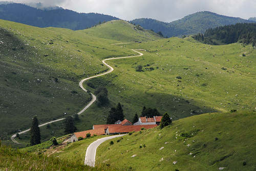 Cima Grappa - Monte Grappa