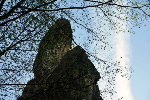 Cismon del Grappa, Val Goccia Cesilla, Col dei Prai