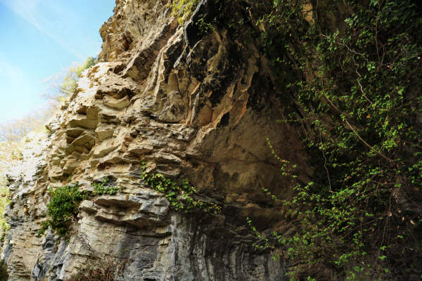 Cismon del Grappa, Val Goccia Cesilla, Col dei Prai