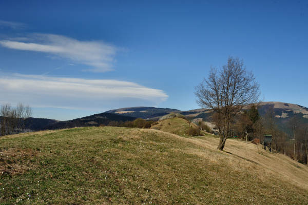 Cismon del Grappa, Val Goccia Cesilla, Col dei Prai
