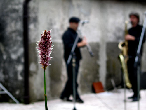 rifugio Alpe Madre al Col Fenilon nel monte Grappa
