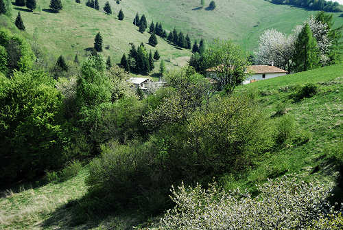 sistema fortificato di Col Andreon, zona Camposolagna sul Monte Grappa