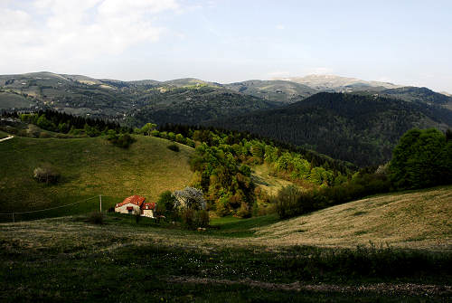 sistema fortificato di Col Andreon, zona Camposolagna sul Monte Grappa