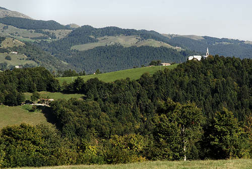 Colli Alti - Monte Grappa