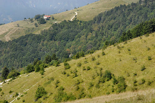 Colli Alti - Monte Grappa