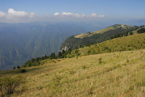 Colli Alti - Monte Grappa