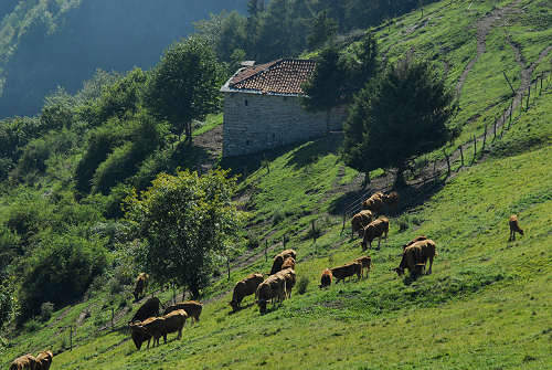 Colli Alti - Monte Grappa