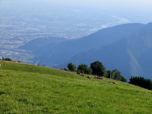 Col Fenilon / Col Moschin - Monte Grappa