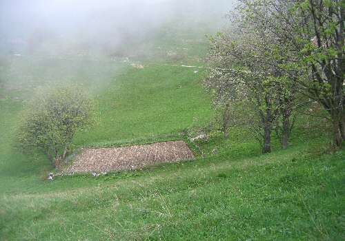 strada delle Penise o Moschina Bassa