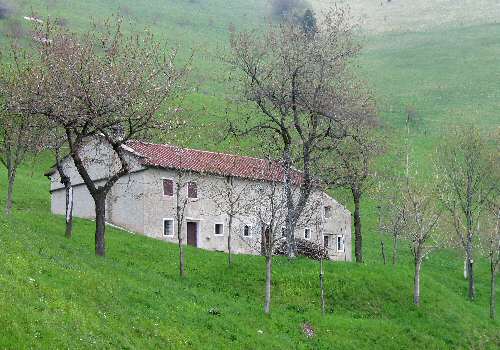 strada delle Penise o Moschina Bassa