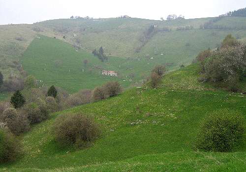 strada delle Penise o Moschina Bassa