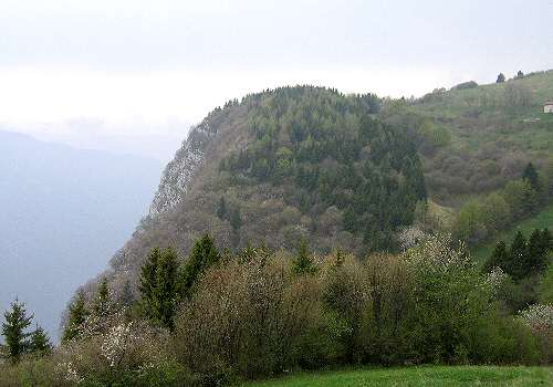 strada delle Penise o Moschina Bassa