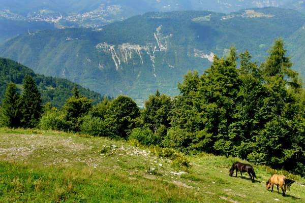 Val di Carazzagno a Rocca d'Arsié