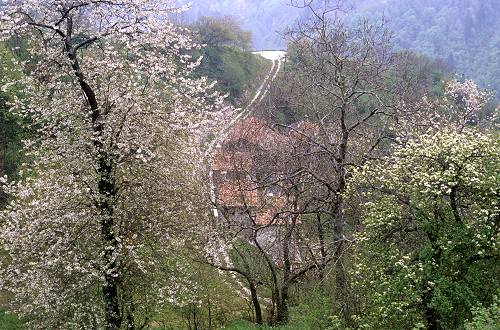 Chiesa Nuova San Luigi, Seren del Grappa