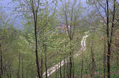 Chiesa Nuova San Luigi, Seren del Grappa