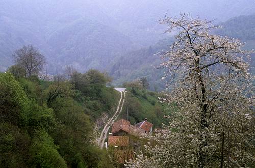 Chiesa Nuova San Luigi, Seren del Grappa