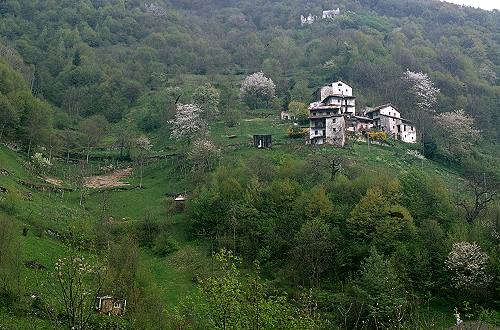 Chiesa Nuova San Luigi, Seren del Grappa