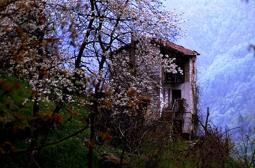 Chiesa Nuova San Luigi, Seren del Grappa