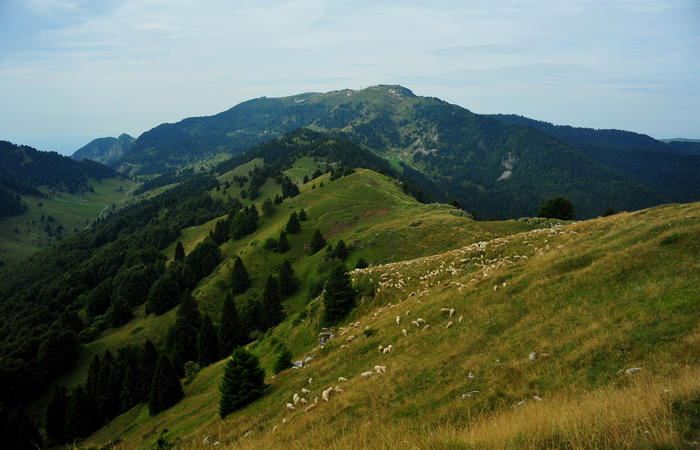 escursione dorsale CimaGrappa-Solaroli / Croce dei Lebi Col dell'Orso Salarolo Valderoa Fontanasecca Val delle Mure Cason del Sole Pian di Bala Val Vecia
